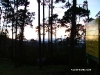 picoduarte - 37